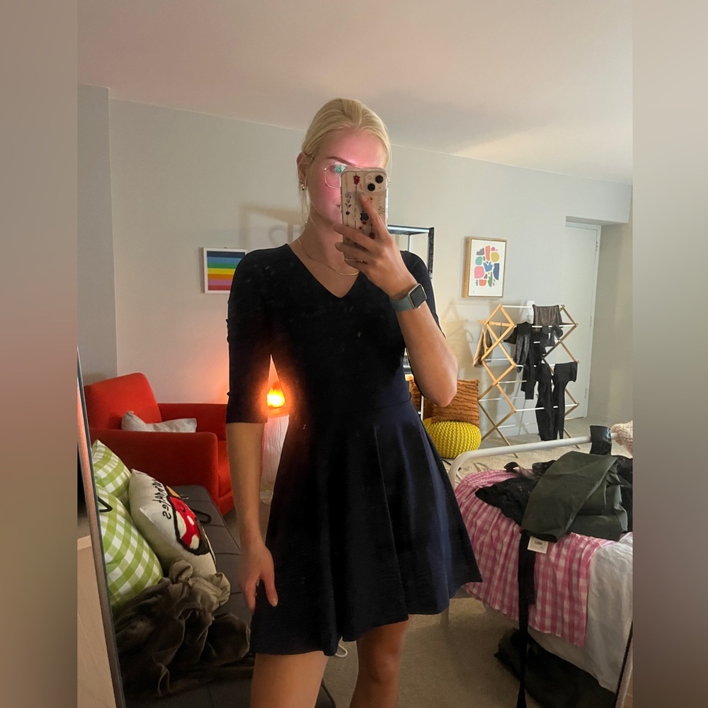 Diane Von Furstenberg Skater Dress